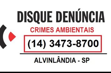 A SECRETARIA MUNICIPAL DO MEIO AMBIENTE AGORA TEM DISQUE DENUNCIA