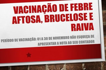 VACINAÇÃO DE AFTOSA, BRUCELOSE E RAIVA