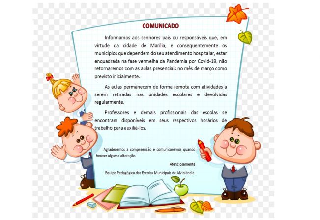 AULAS REMOTAS NAS ESCOLAS MUNICIPAIS DE ALVINLÂNDIA