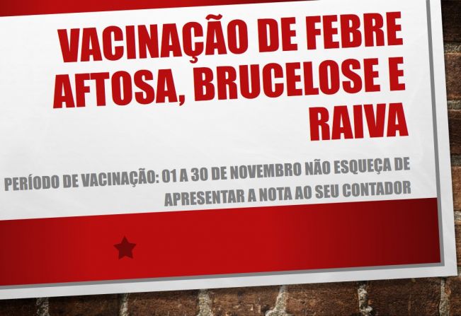 VACINAÇÃO DE AFTOSA, BRUCELOSE E RAIVA