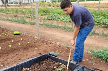 COMPOSTAGEM É SUCESSO NO MUNICÍPIO