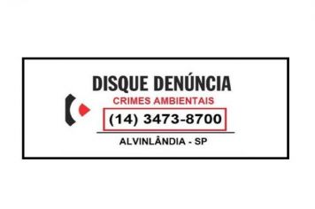 DISK DENUNCIAS AMBIENTAIS! 