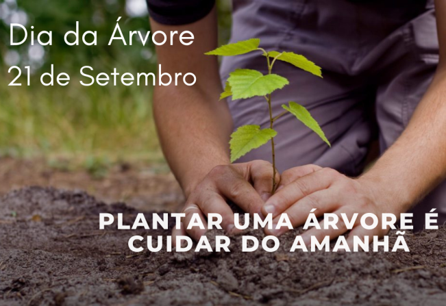 Dia da Árvore - 21 de setembro de 2023